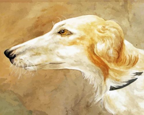 Borzoi Dog Head Paint By Numbers 