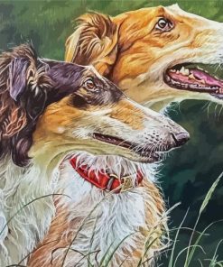 Borzoi Dogs Paint By Numbers