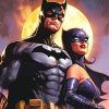 Batman And Catwoman Paint By Numbers