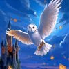 Hedwig Owl Harry Potter Paint By Numbers