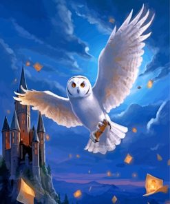 Hedwig Owl Harry Potter Paint By Numbers