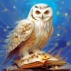 Hedwig Owl Paint By Numbers