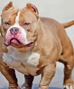 Strong American Bully Paint By Numbers