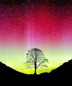 Aurora Sycamore Gap Paint By Numbers