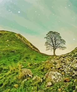 Cool Sycamore Gap Paint By Numbers