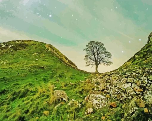 Cool Sycamore Gap Paint By Numbers