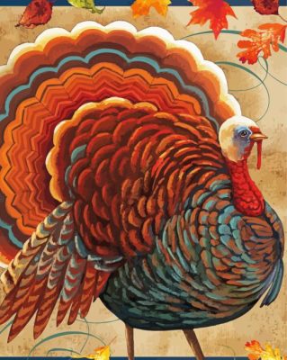 Fall Turkey Paint By Numbers 