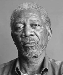 Morgan Freeman Paint By Numbers