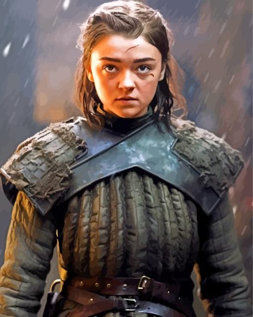 Arya Stark GOT Paint By Numbers