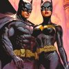 Batman And Catwoman Superheroes Paint By Numbers