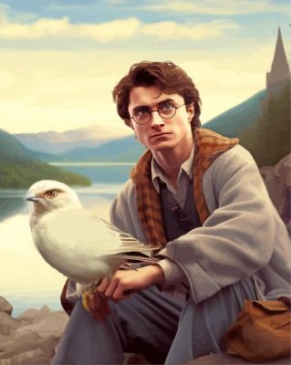 Harry Potter And Bird Paint By Numbers 