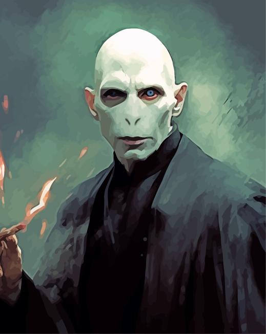Harry Potter and Voldemort - Paint By Number - Painting By Numbers