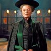 The Professor Minerva McGonagall Paint By Numbers