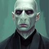 Voldemort Art Paint By Numbers