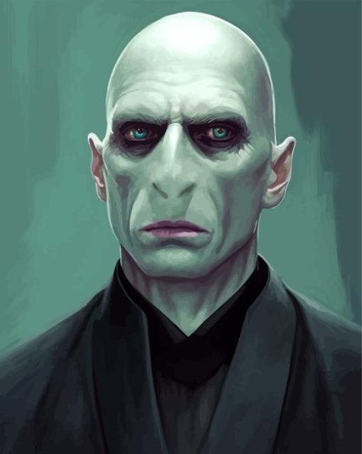 Voldemort Art Paint By Numbers
