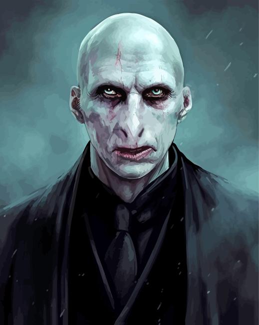 Harry Potter And Lord Voldemort - Series Paint By Numbers - Paint by  numbers for adult
