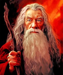Gandalf Lord Of The Rings Paint By Numbers