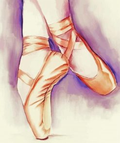 Ballet Shoes Art Paint By Numbers
