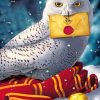 Hedwig Harry Potter Paint By Number