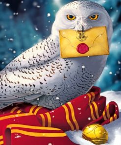 Hedwig Harry Potter Paint By Number