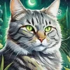 Grey Tabby Cat Paint By Number