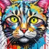 Splatter Tabby Cat Paint By Number