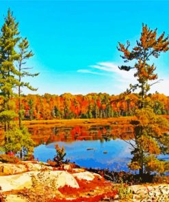 The Nature Trail and Cranberry Bog Paint By Number