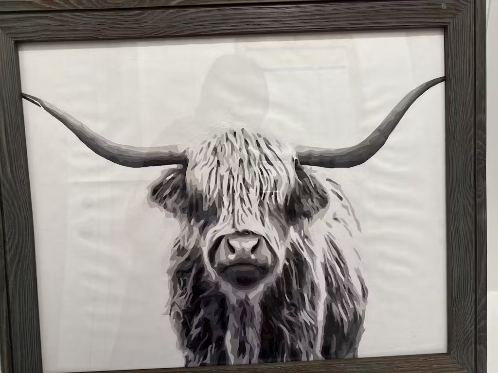 highland cow paint by numbers