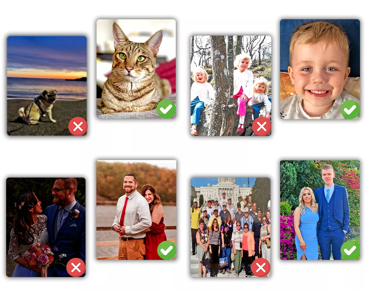 Choosing the Right Photo for custom pbn