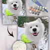 Custom Paint By Numbers​ Pets