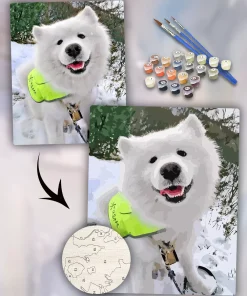 Custom Paint By Numbers​ Pets