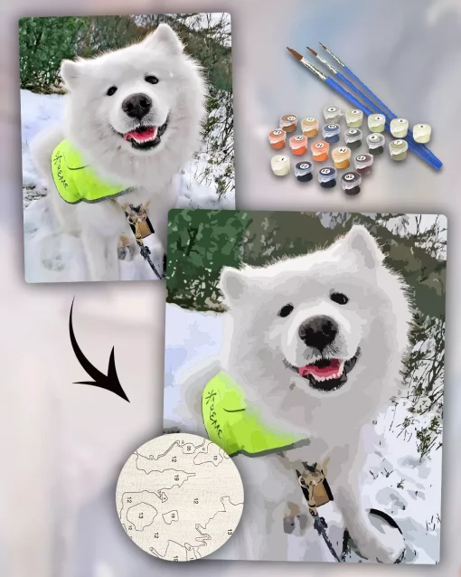 Custom Paint By Numbers​ Pets