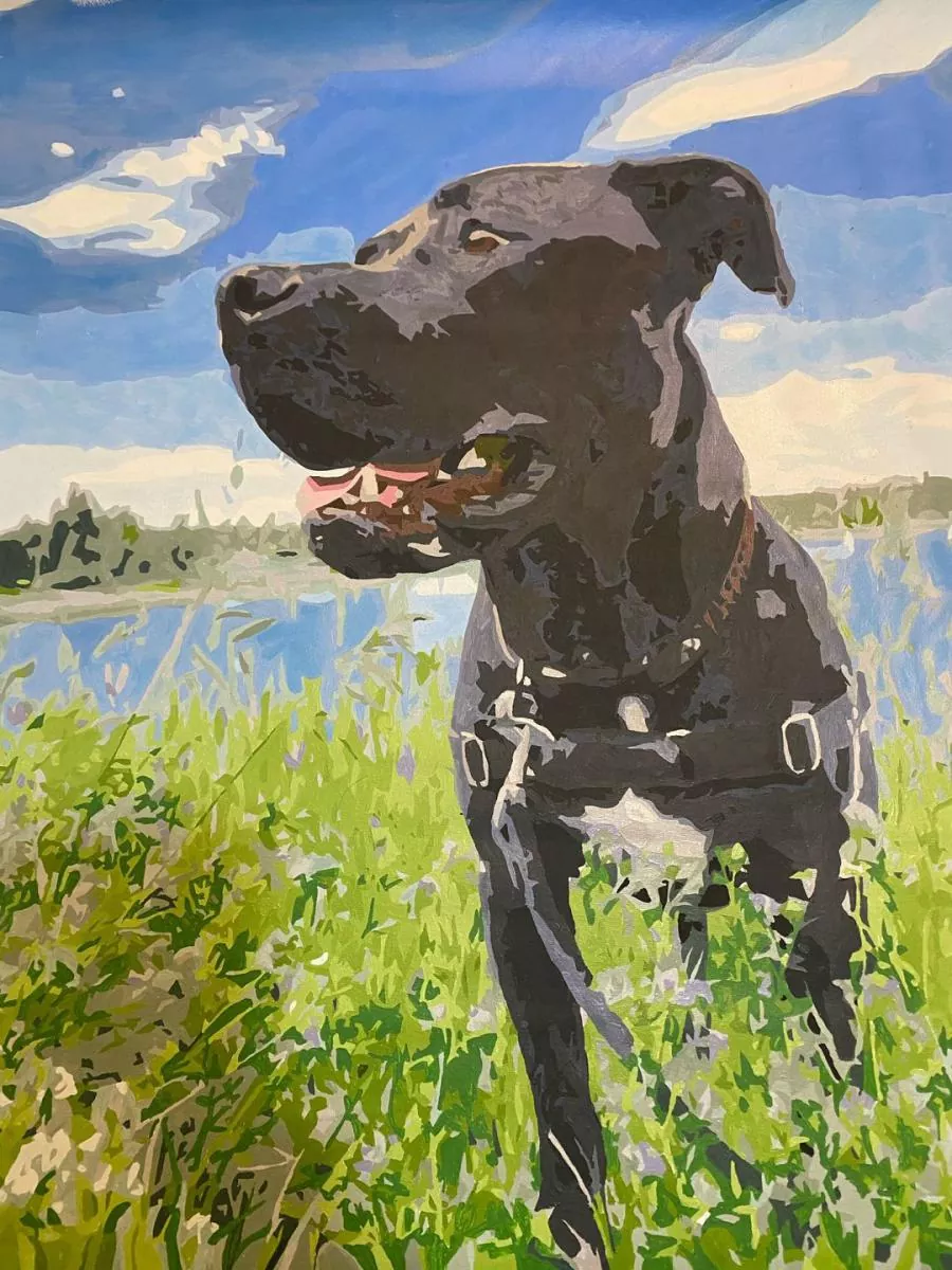Custom Paint By Numbers​ Pets rev 1