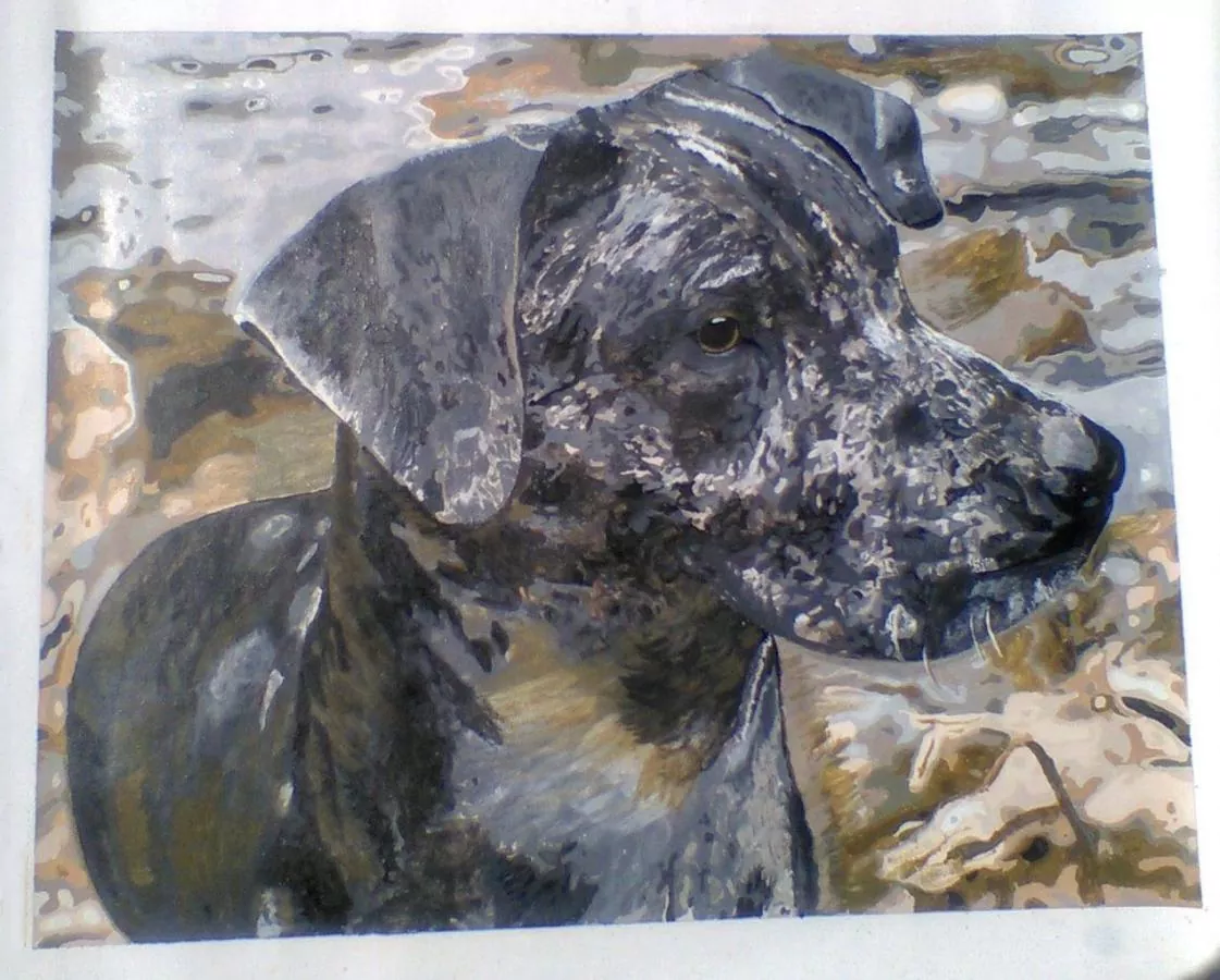 Custom Paint By Numbers​ Pets rev 3
