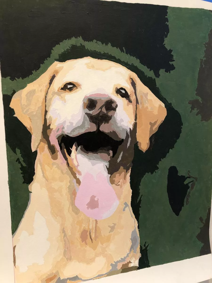 Custom Paint By Numbers​ Pets rev 5