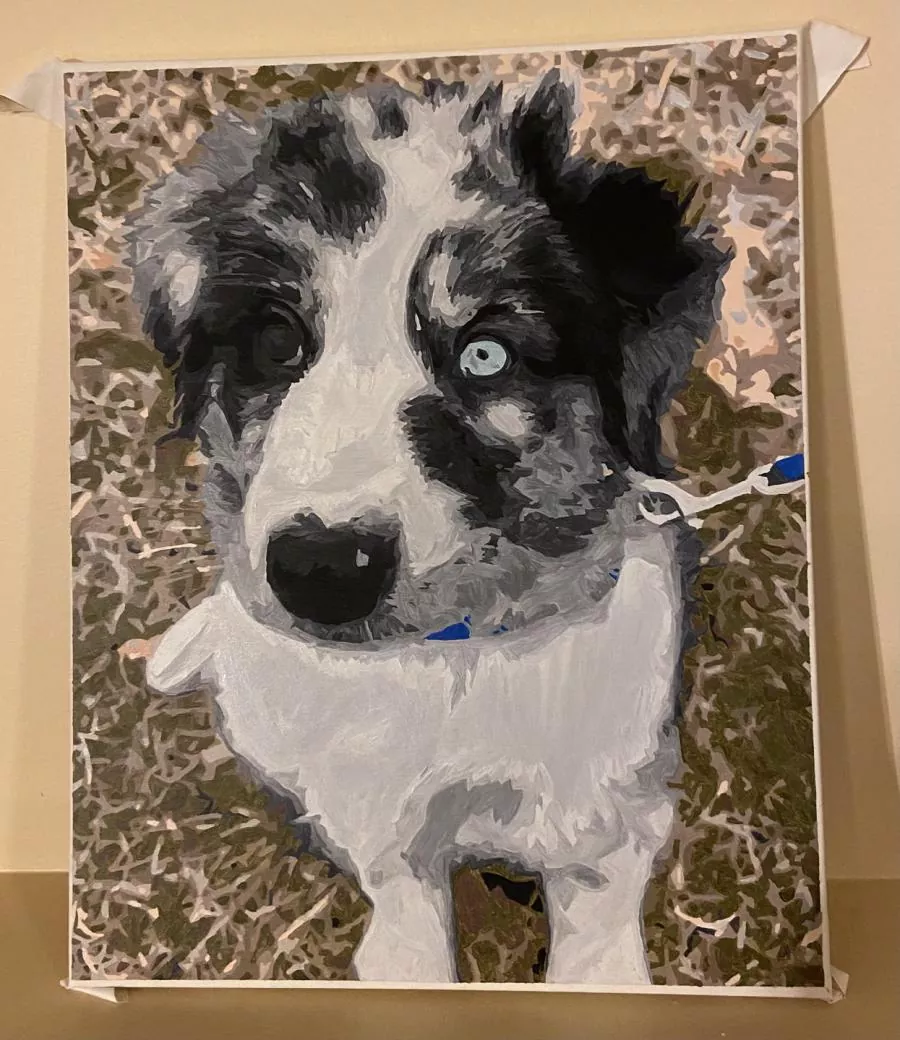 Custom Paint By Numbers​ Pets rev 8