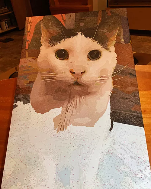 Custom Paint By Numbers​ Pets rev 9