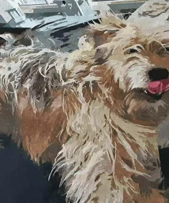 Custom pbn Pets gallery img 1