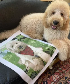 Custom pbn Pets gallery img 2