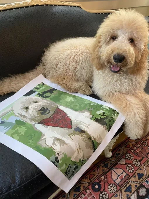 Custom pbn Pets gallery img 2