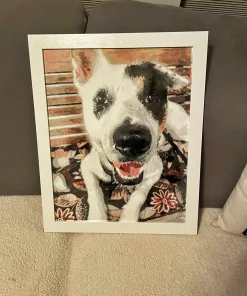 Custom pbn Pets gallery img 5