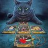 Black Cat Fortune Teller Paint By Numbers