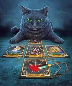 Black Cat Fortune Teller Paint By Numbers