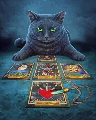 Black Cat Fortune Teller Paint By Numbers 