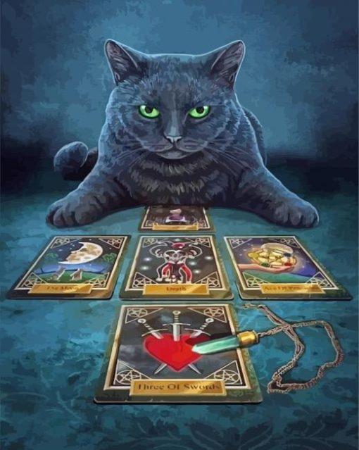 Black Cat Fortune Teller Paint By Numbers