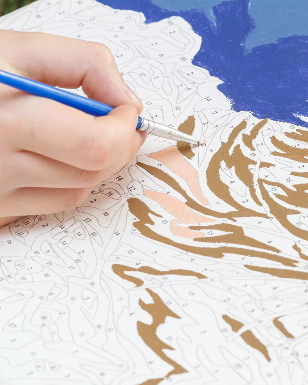 why paint by numbers pic