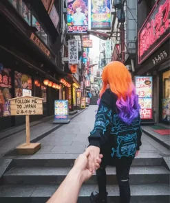 Follow Me To Japan Paint By Numbers
