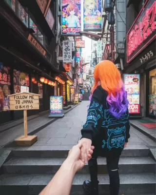 Follow Me To Japan Paint By Numbers 