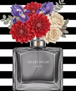 Velvet Hour And Flowers Paint By Numbers