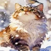 Cat And Bird Snow Paint By Numbers